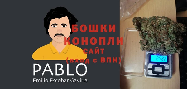 молекула духа Тайга