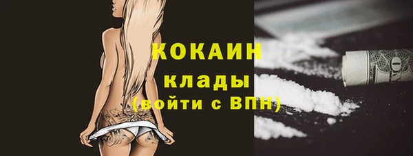 молекула духа Тайга