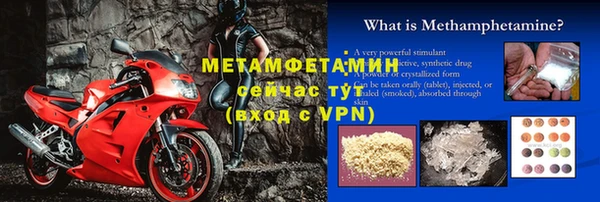 молекула духа Тайга