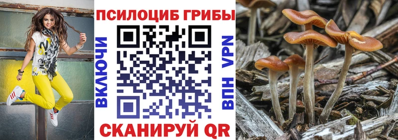 как найти закладки  Моршанск  Псилоцибиновые грибы ЛСД 